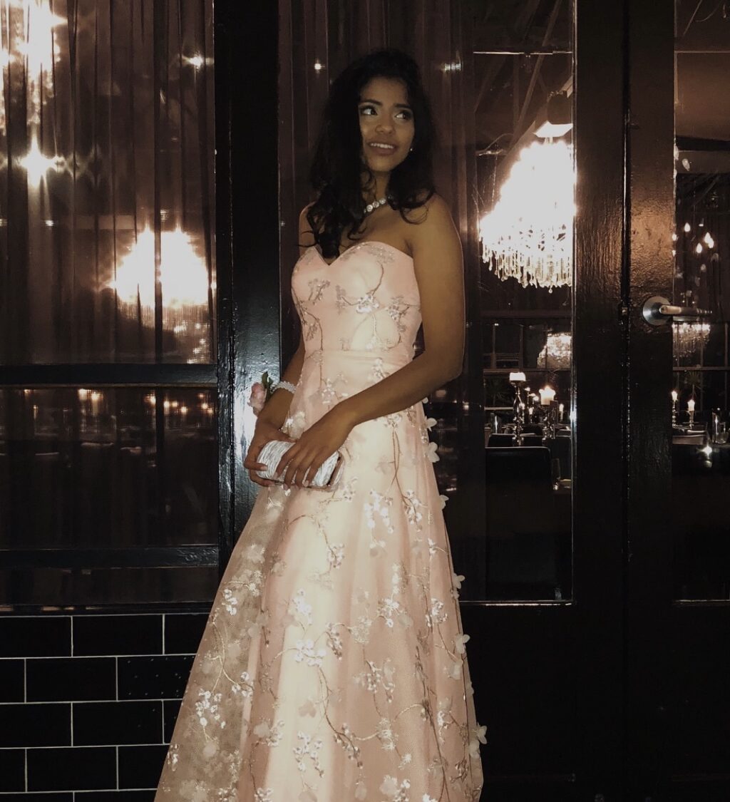 Bariano Elenora Sweetheart Mesh Gown for hire.